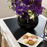 فندق بلازا إيليزيه 4*