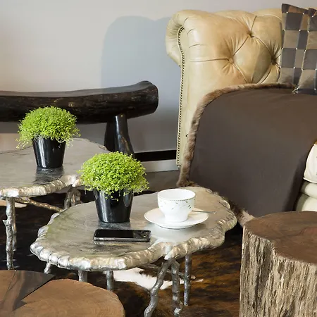 Ξενοδοχείο Plaza Elysees Παρίσι