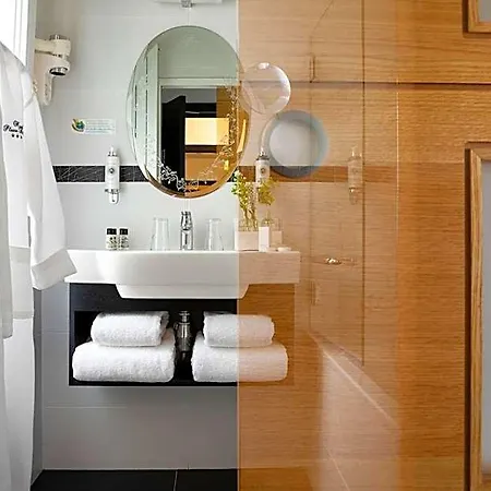 Plaza Elysees 4*