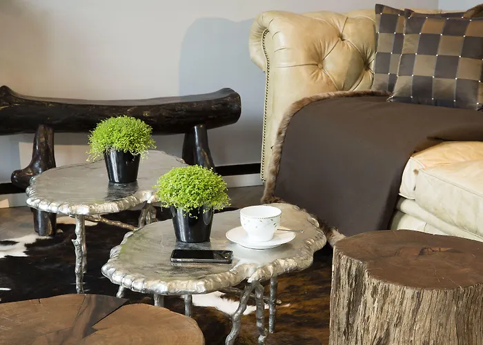 Otel Plaza Elysees Paris